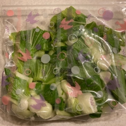 葉物野菜は傷みやすいので冷凍保存は助かりますね‼︎